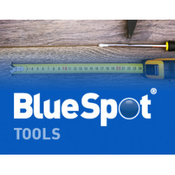 Category image for Bluespot