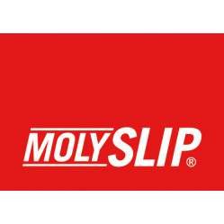 Category image for Molyslip